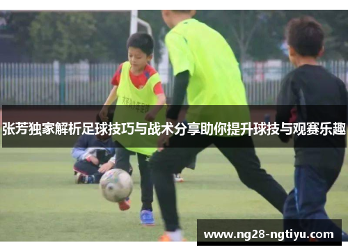 张芳独家解析足球技巧与战术分享助你提升球技与观赛乐趣